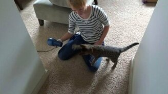 Смелый котик против фена - смотреть видео (1:02)