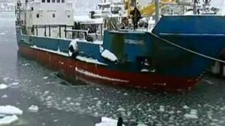 Спасение собаки на льдине - смотреть видео (1:21)