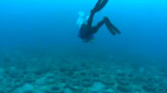 Люди, опомнитесь! - смотреть видео (1:09)