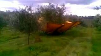 Как собирают оливки - смотреть видео (2:08)