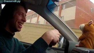 Хомяк против ГАИшника - смотреть видео (0:43)