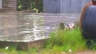 Импровизированный аквапарк - смотреть видео (0:46)