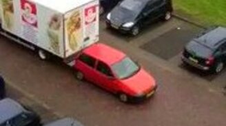 Что они делают? - смотреть видео (0:52)