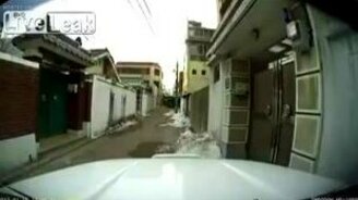 Китайский почтальон 80 уровня - смотреть видео (0:07)