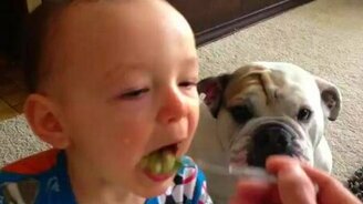 Помощник маленького плаксы - смотреть видео (0:55)