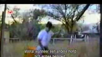 Подборка домашнего видео - смотреть видео (10:00)