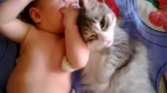 Малыш и котёнок - смотреть видео (0:57)