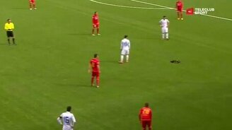 Куница на футбольном поле - смотреть видео (1:42)