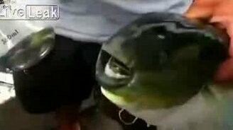 Рыбка-открывалка - смотреть видео (0:26)