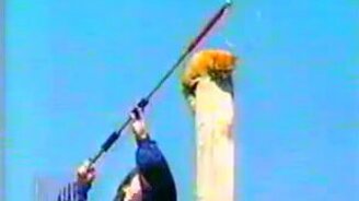 Крутой полёт кота - смотреть видео (0:16)