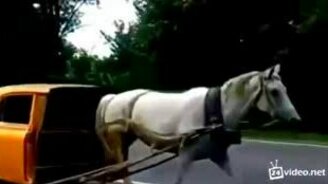 Экологичная карета - смотреть видео (0:10)