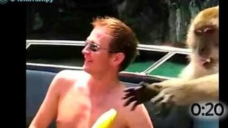 Животное на судне! - смотреть видео (1:03)