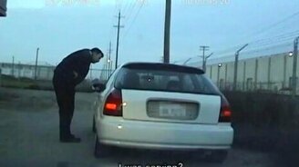 Необычный водитель за рулём оказался - смотреть видео (2:23)