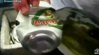 Улётные приколы 2 - смотреть видео (8:11)