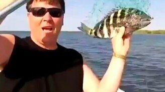 Зубастая рыба - смотреть видео (0:18)