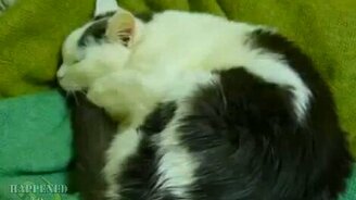 Не прекращай играть! - смотреть видео (0:38)