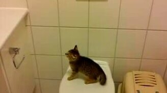 Я ещё только учусь! - смотреть видео (0:06)