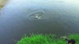 Бездумный фотограф и корокодил - смотреть видео (2:19)