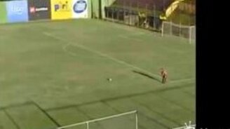 Не гол, а феерия! - смотреть видео (0:14)