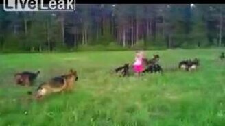 Девочка играет с собаками - смотреть видео (1:00)