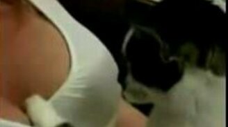 Терапия от кошки - смотреть видео (0:37)