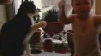 Малыш против настырного кота - смотреть видео (1:01)