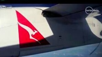 Змея в крыле самолёта - смотреть видео (1:11)