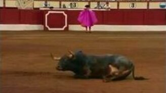 Сразил быка на корриде - смотреть видео (0:25)