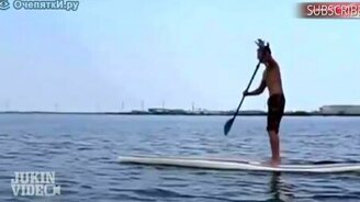 Корова напугала сёрфера - смотреть видео (0:38)