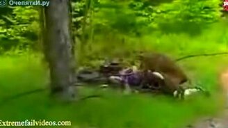 Лучшее - атакующие и падающие животные - смотреть видео (4:08)
