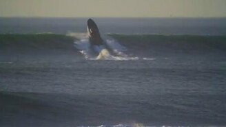 Катер против морской стихии - смотреть видео (1:12)