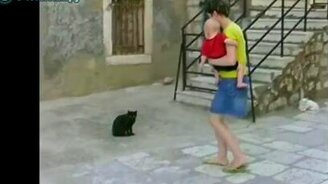 Агрессивная кошка и наивная собака - смотреть видео (0:36)