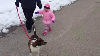 Задорная девчонка и собака - смотреть видео (0:25)