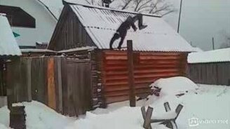 Турник подвёл - смотреть видео (0:10)