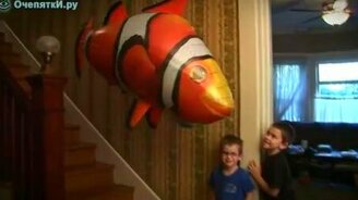 Дом как аквариум - смотреть видео (1:39)