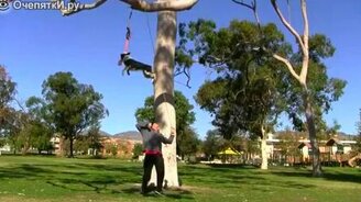 Собака-каскадёр - смотреть видео (1:00)