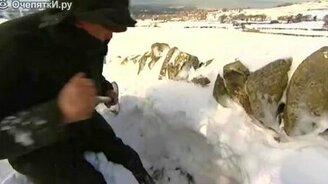 Спасатель овец - смотреть видео (1:22)