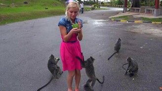 Обезьянья атака девушки - смотреть видео (1:10)