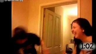 Разбей яйцо о свою голову! - смотреть видео (1:12)