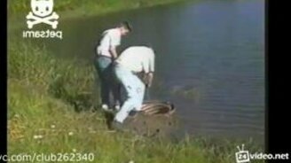 Неблагодарный бобёр - смотреть видео (0:41)