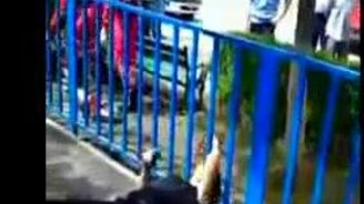 Операция ШЕЯ - смотреть видео (3:38)