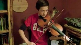 Кантри от талантливых мальцов - смотреть видео (1:21)