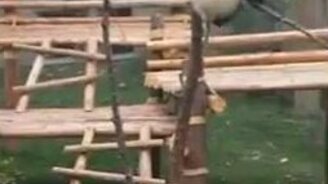 Мал да удал - смотреть видео (2:39)