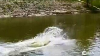 Смешной старт на водных лыжах - смотреть видео (0:10)