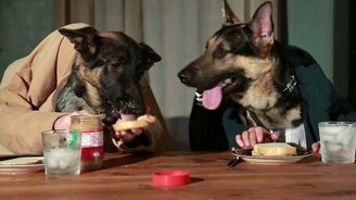 Собаки за обедом - смотреть видео (2:03)