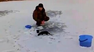 Пронырливый зверёк - смотреть видео (1:16)