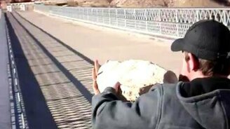 Ей богу, как дети! - смотреть видео (0:31)