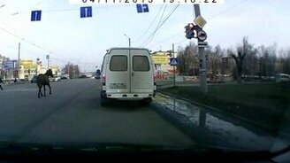 Конь в бегах - смотреть видео (1:14)