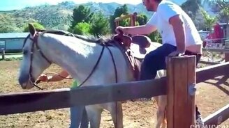 Лучшие последние приколы и курьёзы - смотреть видео (4:03)