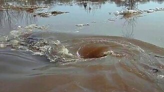 Чудовищный водоворот - смотреть видео (7:45)